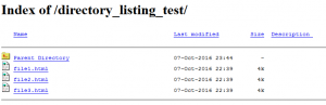 directory_listing